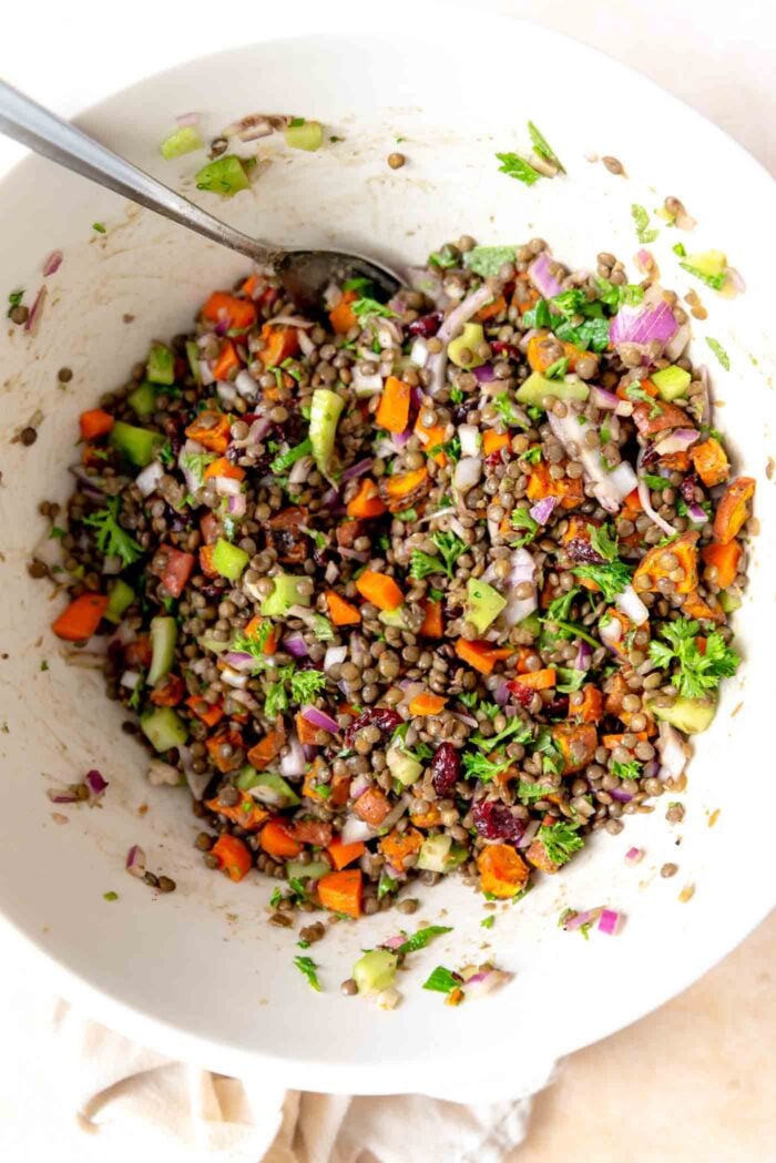 French lentil salad with vegetables in a large bowl.