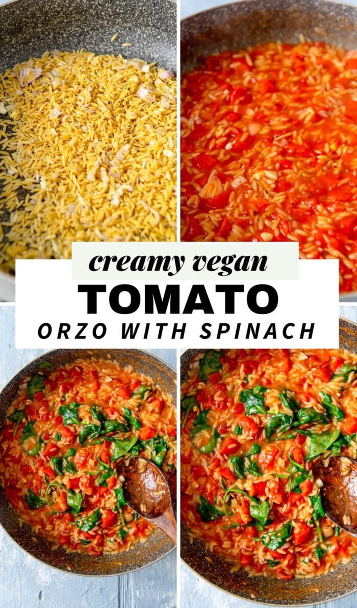 4 images of a creamy tomato orzo pasta dish with text that reads Creamy Vegan Tomato Orzo with Chickpeas.