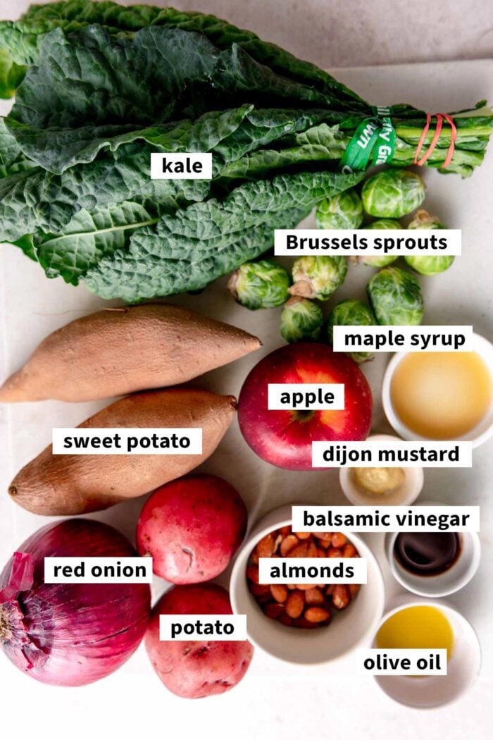 Ingredients for an apple and kale roasted vegetable salad with balsamic dressing and almonds.