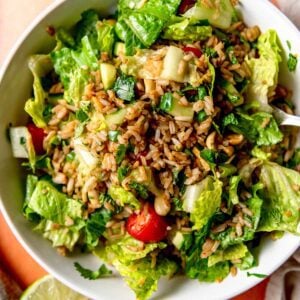 Crispy rice salad with peanuts, lettuce, tomato, cucumber and herbs in a bowl with a wedge of lime beside it.