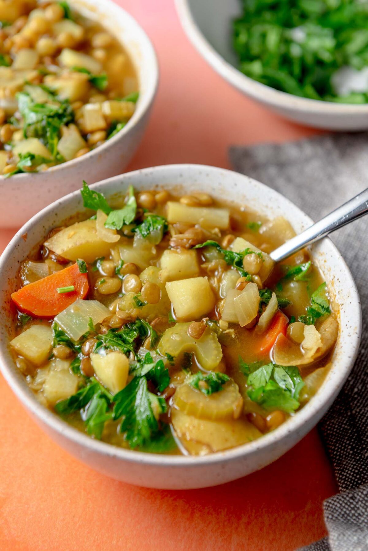 Bowl of a hearty soup with potatoes, carrots, lentils and kale.