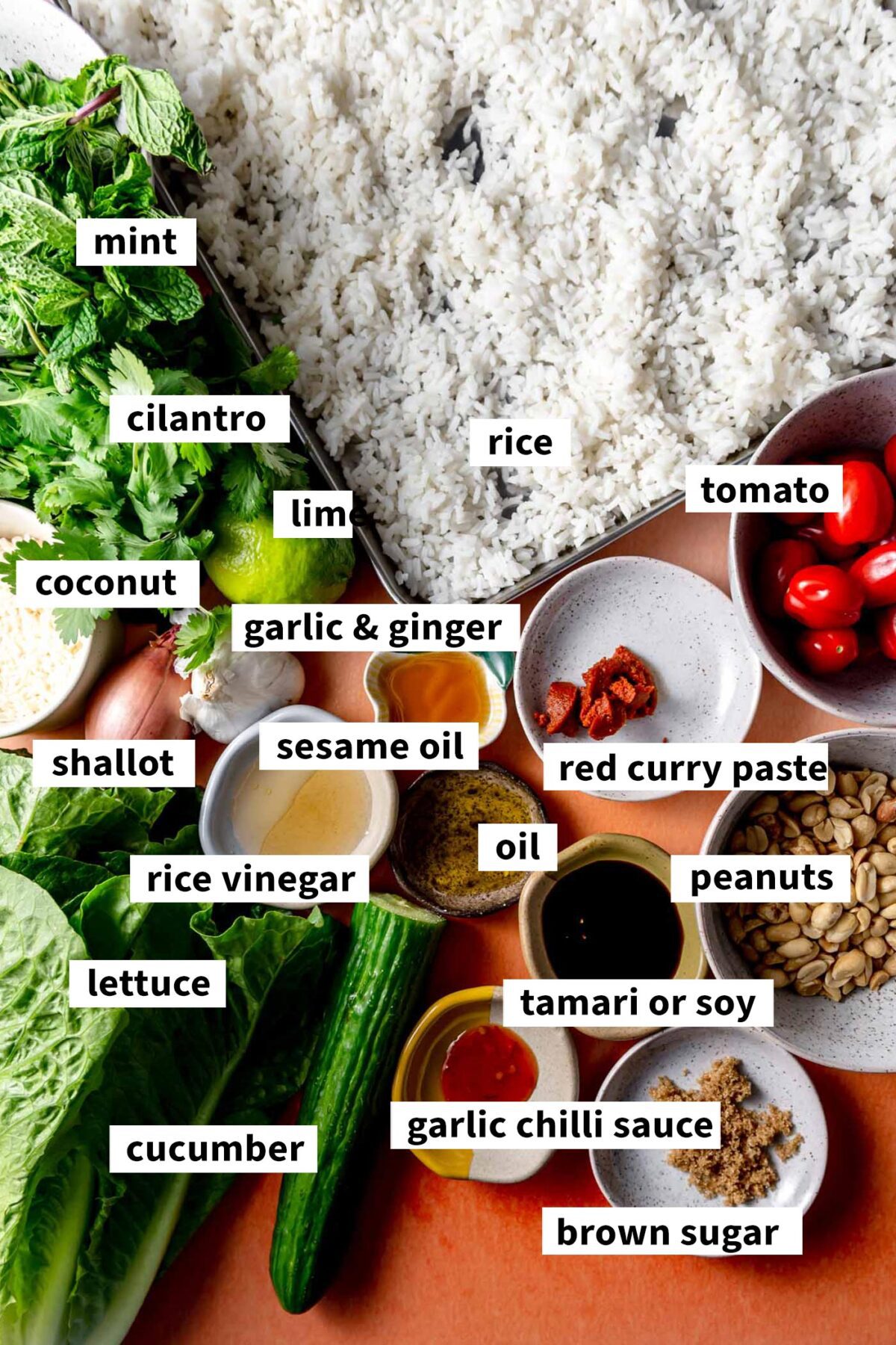 All of the ingredients needed for making a crispy rice salad.