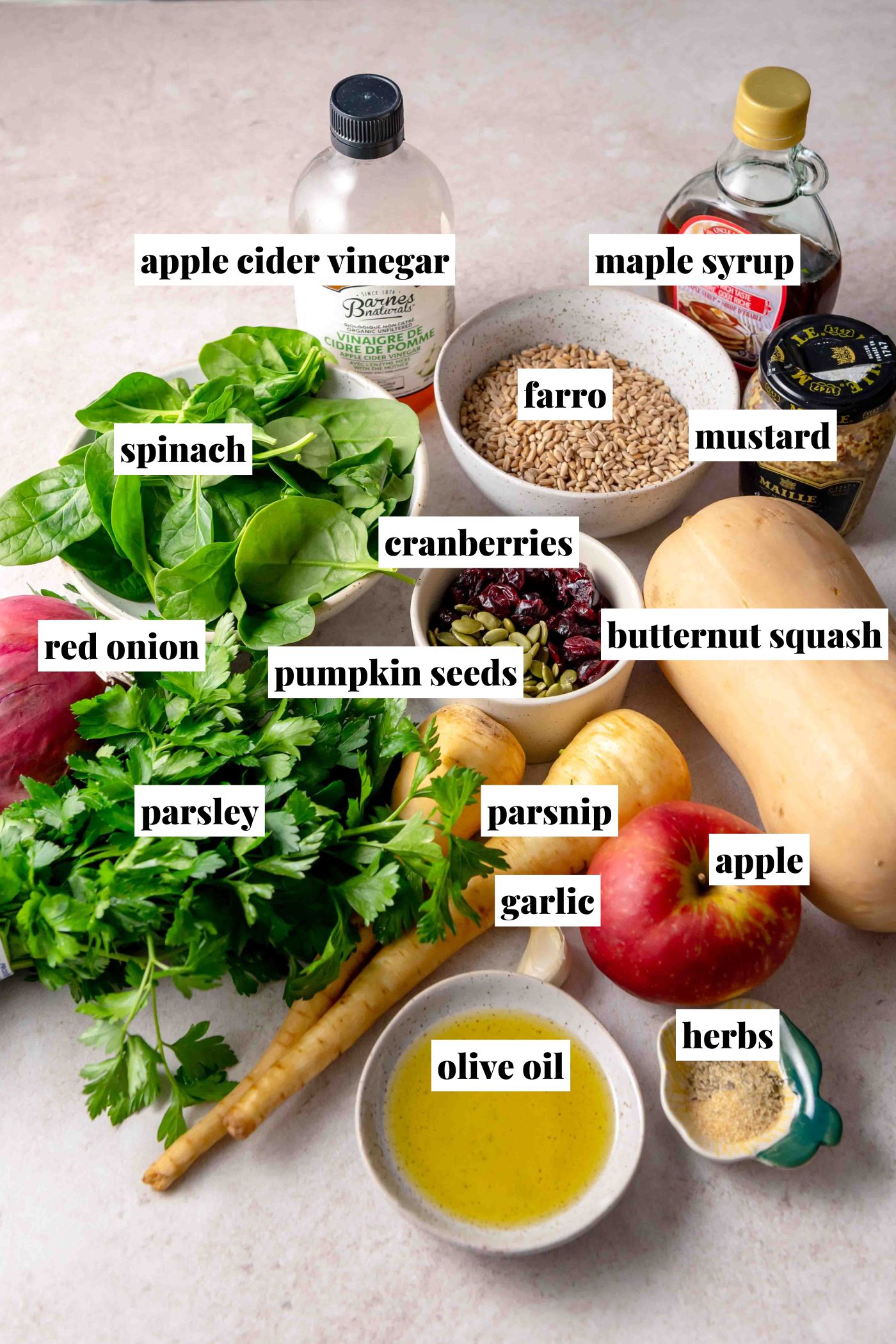 Ingredients for warm farro salad laid out on a countertop, including butternut squash, apple, parsnip, red onion, spinach, farro, dried cranberries, pumpkin seeds, parsley, garlic, olive oil, apple cider vinegar, maple syrup, mustard and herbs.