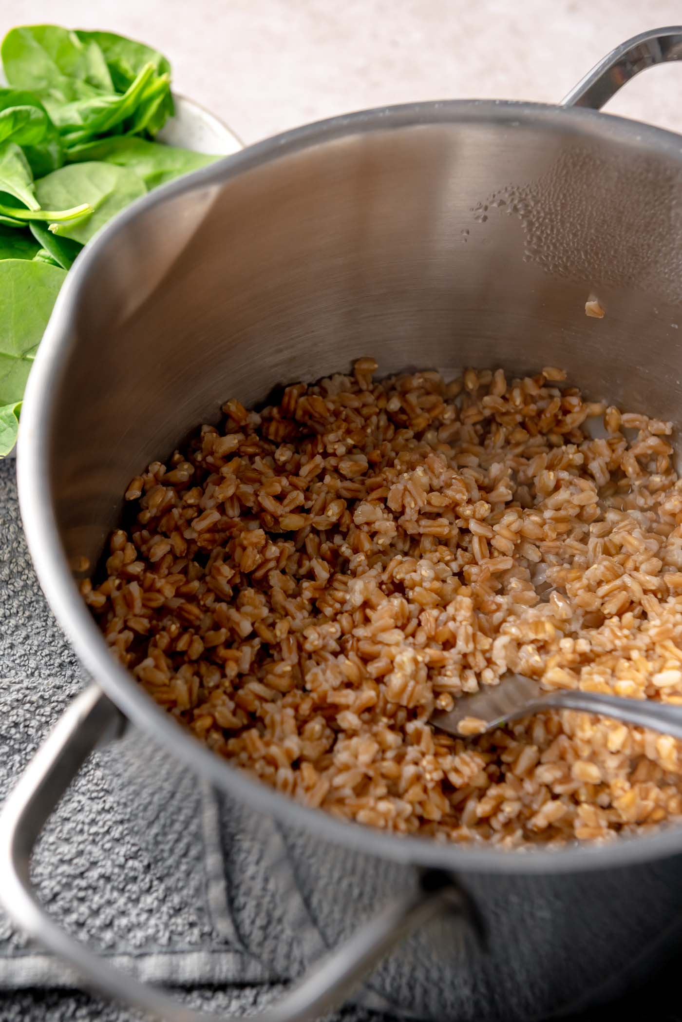 Cooked farro grains in a stainless steel pot with a spoon, ready to be added to a warm salad.
